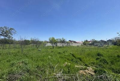 Teren de 2775 mp, în Olteni - 2