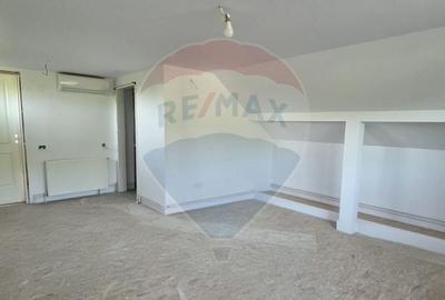 Casă cu 5 camere cu Teren 3400 Mp în Valea Voievozilor - 11