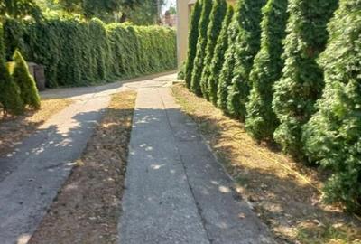 Locație superbă in Bălcescu  !! - 13