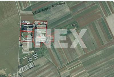 Teren industrial intravilan - 12 ha - toate utilitatile - Teiu, Arges - 1