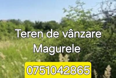 Teren de 20000 mp, în Nord - 3