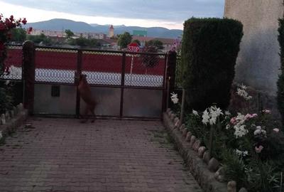 Casă cu 2 camere cu Teren 1134 Mp în Central - 8