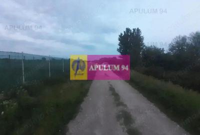 Teren de 3820 mp, în 1 Decembrie - 12