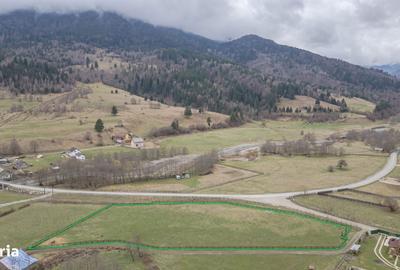 Spațiu comercial, în Plaiul Foii - 2