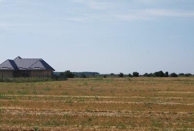 TEREN MOARA VLASIEI - CACIULATI 1500 mp