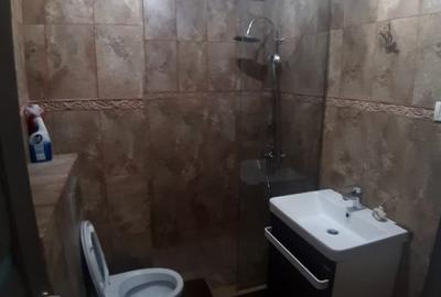 Apartament cu 2 camere semidecomandat, mobilat în Aurel Vlaicu - 11
