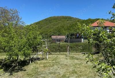 Teren de 756 mp, în Măgura - 3