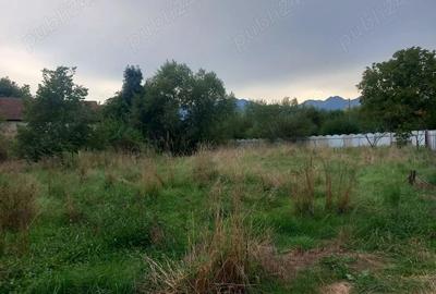 Casă cu 3 camere în Sâmbăta de Sus - 1