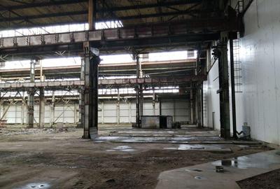 Birouri, spatiu industrial, hale Zona Libera Giurgiu ID 1... - 18