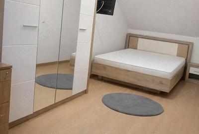 Apartament cu 3 camere decomandat în Terezian - 2