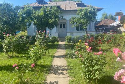 Casă cu Teren 2600 Mp în Periș - 3