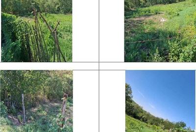 Casa si teren Apostolache, ID R2202581 - 3