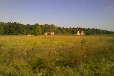 Teren de 600 mp, în Țegheș - 2