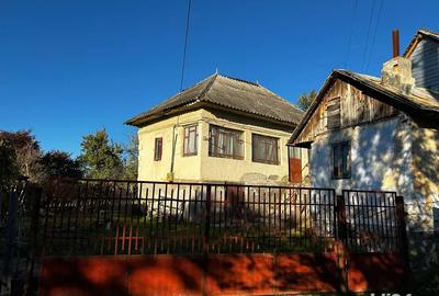 Casa batraneasca + teren 5000mp - 2