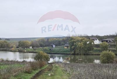 Teren extravilan de 129700 mp, în Iepurești - 1