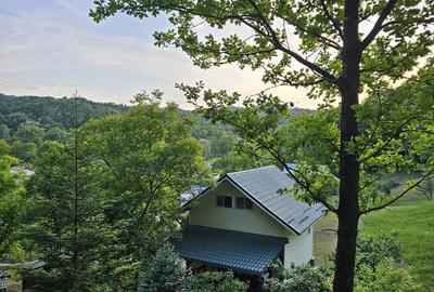 Casă cu 3 camere în Provița de Sus - 2