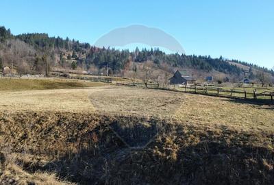 Teren intravilan de 5282 mp, în Vatra Moldoviței - 13