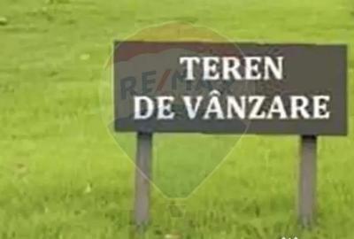 Teren de 5000 mp, în Păuliș - 2