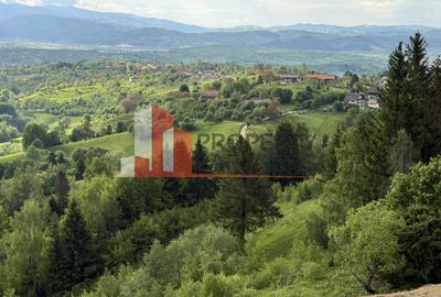 Teren Construcții intravilan de 2799 mp, în Bran - 2