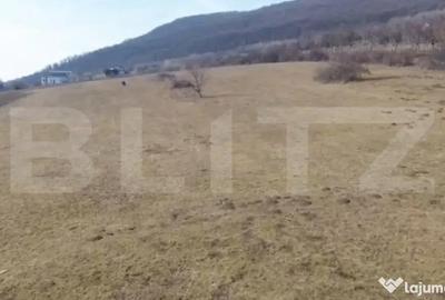 Teren în Viișoara - 2