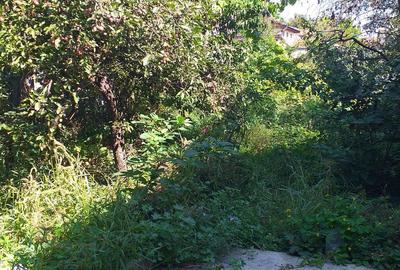 Casă cu 3 camere în Central - 1