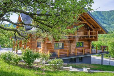 Casă individuală cu 6 camere cu Teren 5683 Mp în Sadu - 51