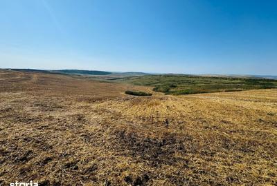 Teren de 15000 mp, în Rediu