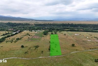 Teren de 5000 mp, în Central