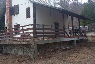 Spațiu comercial, de 700 mp, în Lipănești - 3