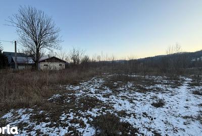 Teren de 10834 mp, în Dumbrăvești - 9