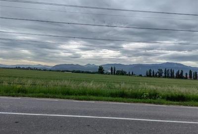 TEREN  Intravilan 63.741 mp  Cristian, Bra?ov | Poten?ial Major pentru Proiecte - 3