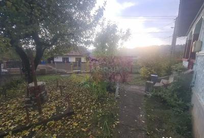 Casă cu 3 camere cu Teren 3410 Mp în Aluniș - 4