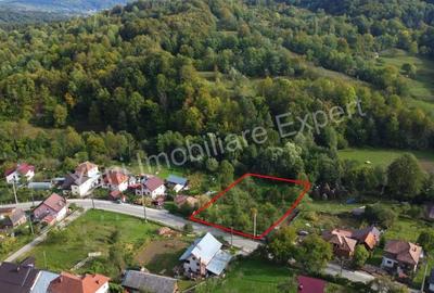 Teren de vanzare in comuna Arefu, sat Arefu, jude? Arge?. - 6