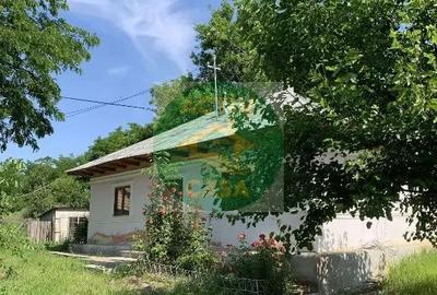 Casă cu 3 camere cu Teren 1900 Mp în Ion Creangă - 3