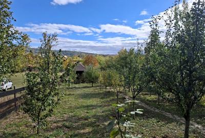 Casă cu 5 camere cu Teren 7017 Mp în Pruni - 3