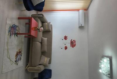 Apartament cu 2 camere semidecomandat în Domenii - 10
