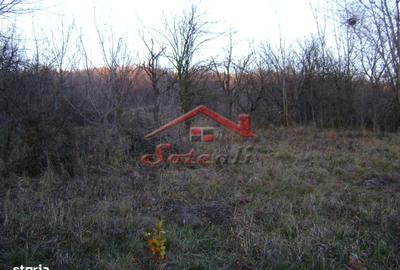 Spațiu comercial, în Central