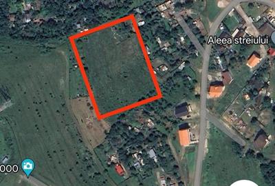 Teren intravilan 1600m in deva.1600m .35e m - 3