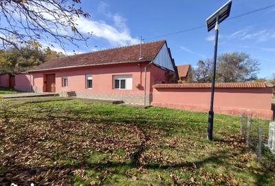 Casă cu 5 camere cu Teren 1800 Mp în Ciuchici - 18