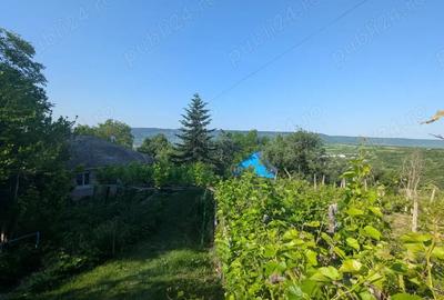 Casă cu 6 camere cu Teren 23000 Mp în Horodiștea - 5