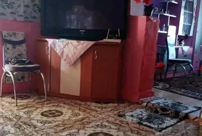 Casă cu 2 camere în Budoi - 4