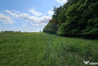Teren de 7000 mp, în Ilișești - 8