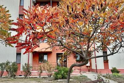 Apartament cu 2 camere semidecomandat în Micălaca - 1