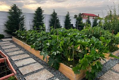 Teren anexa + livada, toate utilitățile - 14