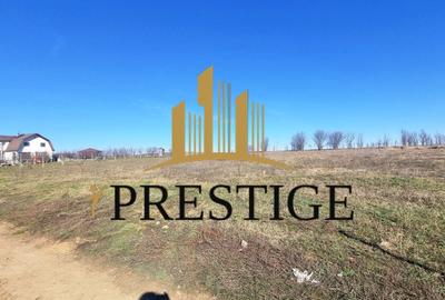 Teren agricol extravilan de 873 mp, în Șura Mică - 1