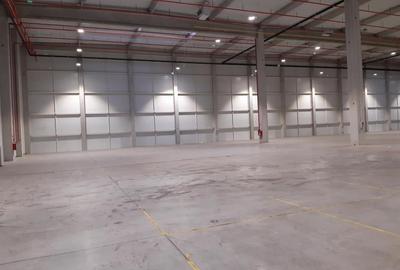 Spațiu industrial, de 2,610 mp, în Someșeni - 3