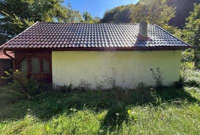 Casă cu Teren 358 Mp în Valea Mănăstirii - 2