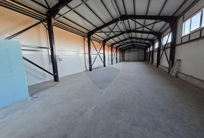 Hala plus spatiu birouri, zona Strada Vrancei - 5