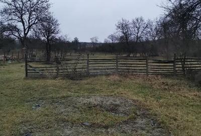 Casă de vânzare cu teren generos în Cehețel (jud. Harghita) - 10