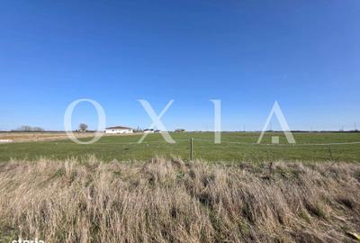 Spațiu comercial, în Giroc - 2